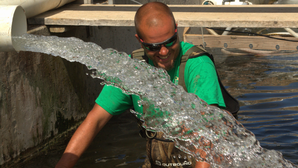 Fish farmer in raceways