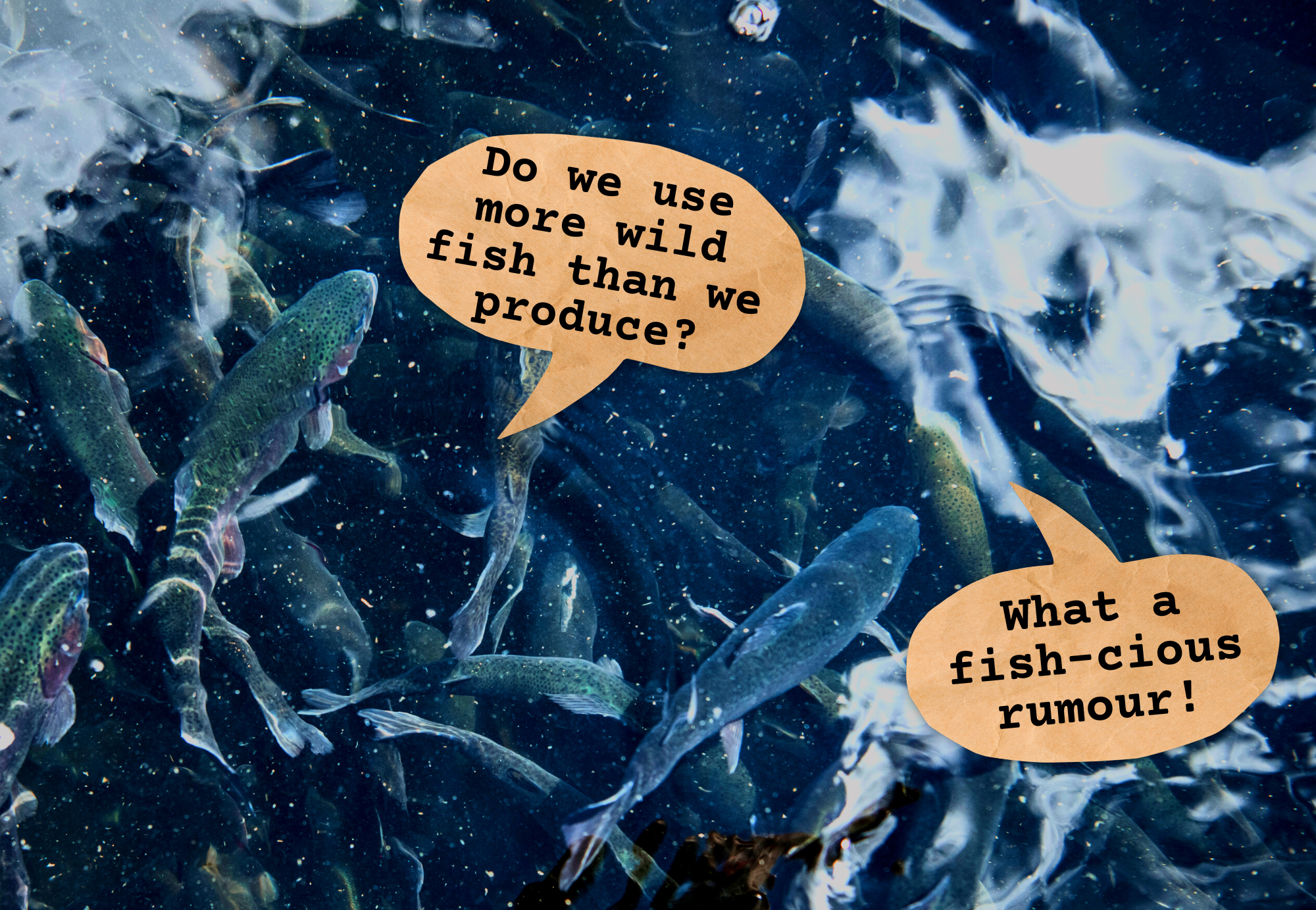 farmed fish use more wild fish than produces cartoon