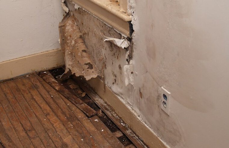 How to Recognize Water Damage in Your Home