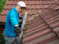 Gutter Cleaning